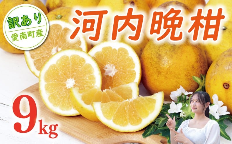 
            訳あり 河内晩柑 樹齢 20年以上 9kg （ サイズミックス ） 9000円 みかん mikan 蜜柑 ミカン わけあり かわちばんかん 愛南ゴールド あいなん ゴールド 美生柑 文旦 グレープフルーツ 和製 家庭用 産地直送 国産 農家直送 期間限定 数量限定 特産品 ゼリー ジュース 人気 限定 さわやか 甘い フルーツ 果物 柑橘 蜜柑 規格外 小玉 含む くらもとファーム 愛南町 愛媛県
          