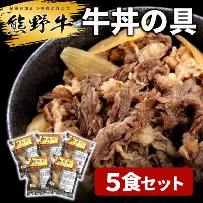 ふるさと納税 印南町 熊野牛 牛丼の具 5食セット