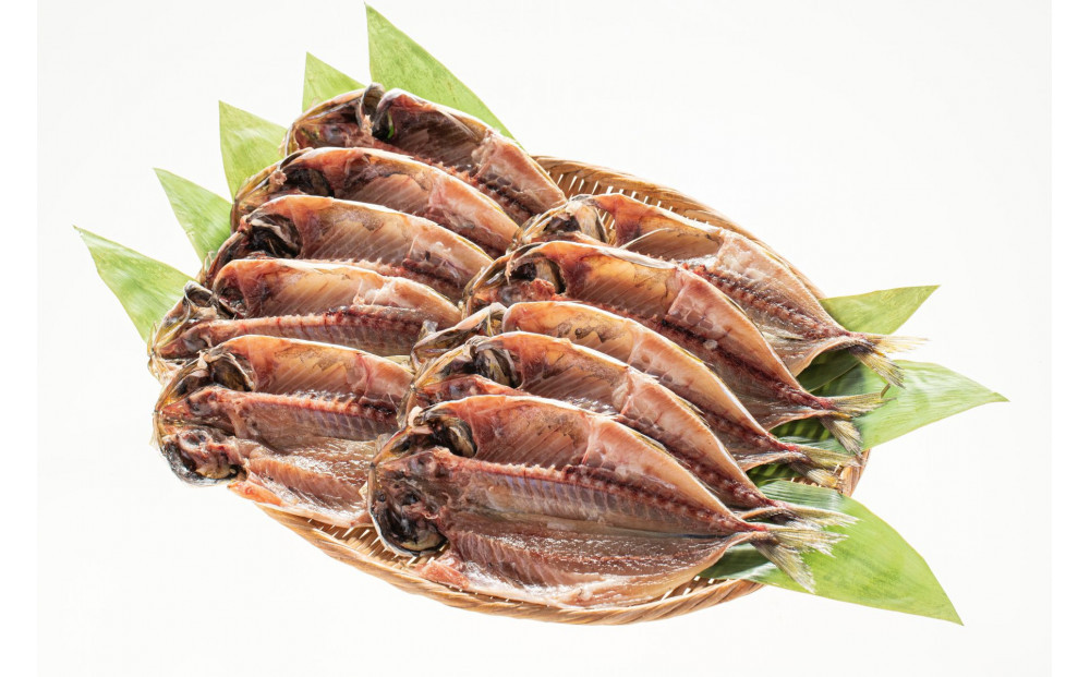 小田原ひもの詰合せ　SA30【惣菜 魚 干物 ひもの お取り寄せ 御中元 お中元 お歳暮 父の日 母の日 贈り物 家庭用 自宅用 贈答品 贈答用 ギフト 定番 朝食 朝ごはん 国産 中あじ  神奈川県 小田原市 】 142069_AD001