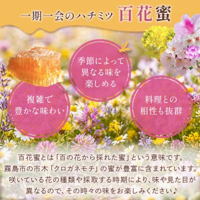 ふるさと納税 霧島市 霧島産百花蜜(300g)  純粋ハチミツ 100%天然【冨吉養蜂】　K-126-A |  | 01