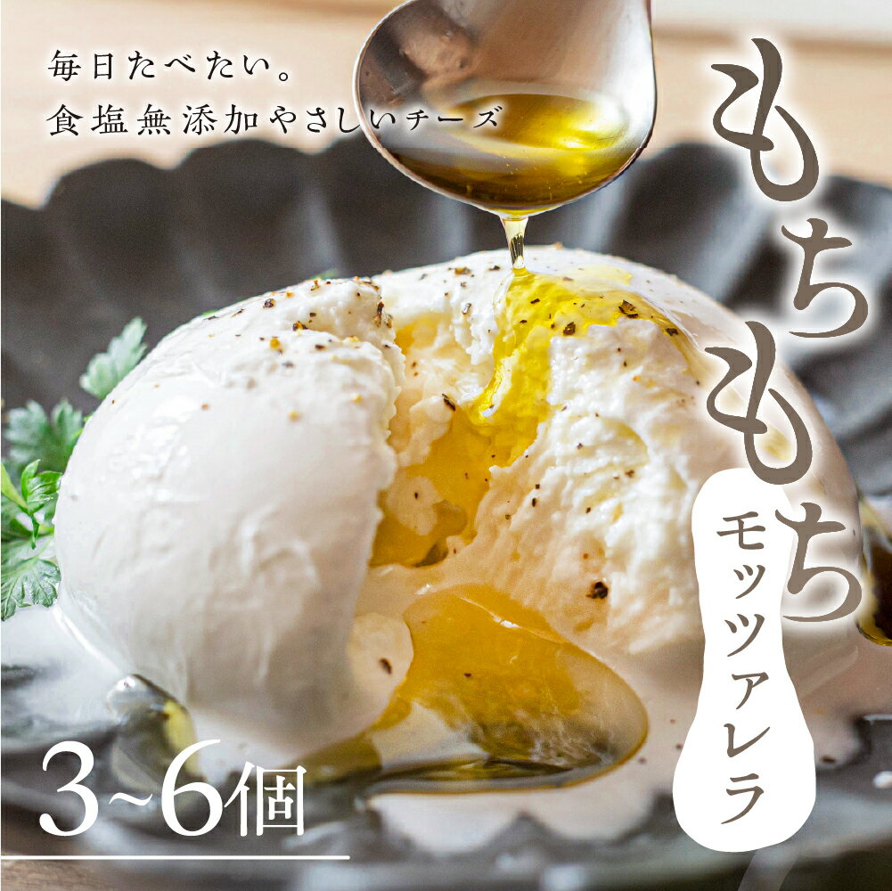 【ふるさと納税】食塩無添加やさしいチーズ もちもちモッツアレラ 3個 ~ 6個 選べる個数 ギフト モッツァレラチーズ チーズ こだわり 美味しい 人気 フレッシュ 生 冷蔵 小分け 個包装 カプレーゼ パスタ ピザ おつまみ 前菜 サラダ 国産 新鮮 愛知県 豊橋市