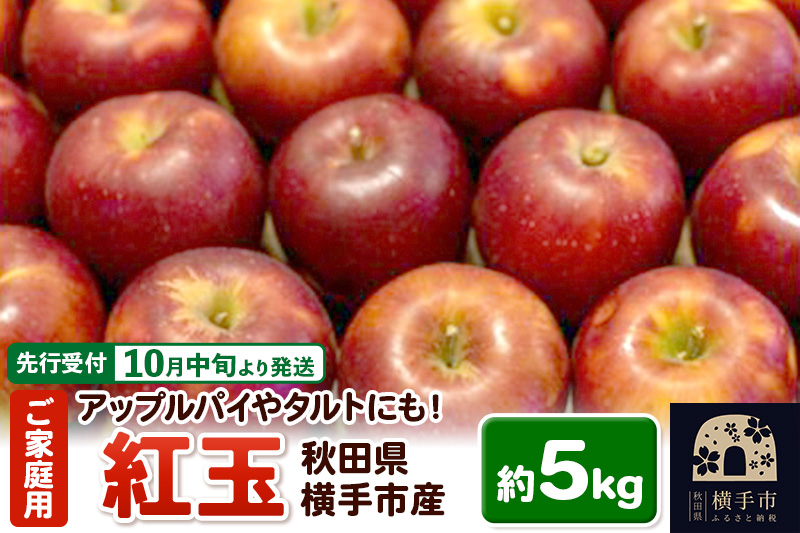 【先行受付】10月中旬より発送 アップルパイやタルトにも！横手市産りんご(紅玉) ご家庭用 約5kg