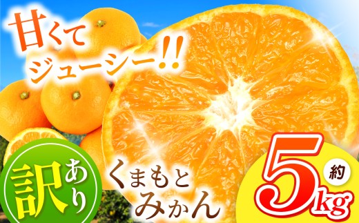 訳あり 2L くまもと みかん 約 5kg | 果物 みかん くだもの みかん フルーツ みかん 柑橘 みかん 柑橘類 みかん ミカン 家庭用 みかん 熊本県 みかん 玉名市 みかん