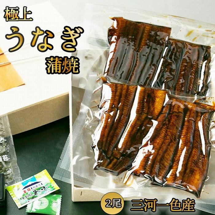 【ふるさと納税】うなぎ蒲焼2尾