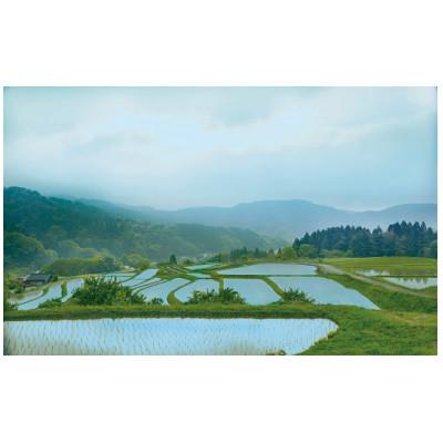 ふるさと納税 岩美町 「道の駅きなんせ岩美」　棚田米もみからまい2kg |  | 01