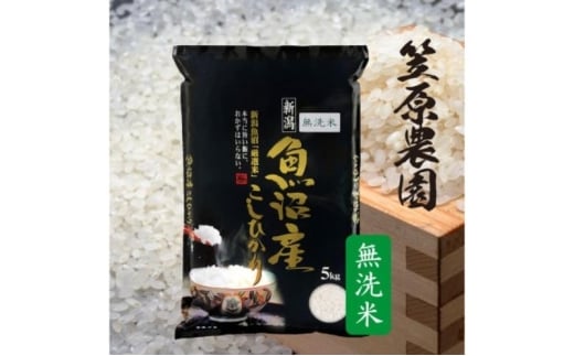 【新米】令和7年産　魚沼産コシヒカリ　無洗米　5kg | 米 コメこしひかり 精米 ブランド米 お取り寄せ 十日町市