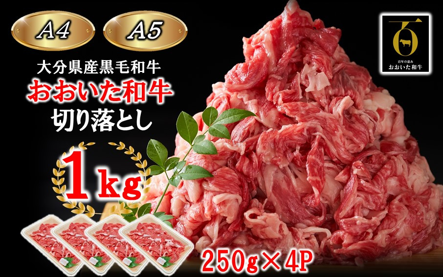 
【A4～A5等級】小分けで便利！ おおいた和牛 切り落とし 1kg (250g×4P)_2436R
