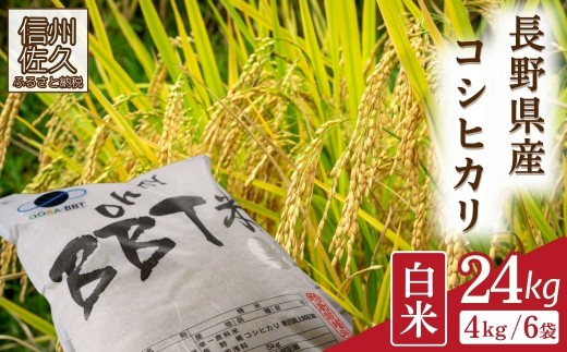 【令和8年産・白米24kg（4kg×6袋）】特別栽培米　BBT米（五郎兵衛米） 〈2026年9月下旬頃～順次発送〉 先行予約　新米　信州　こしひかり【 米 コメ 白米 精米 お米 こめ おこめ 予約 備蓄品 コシヒカリ 長野県 佐久市 】