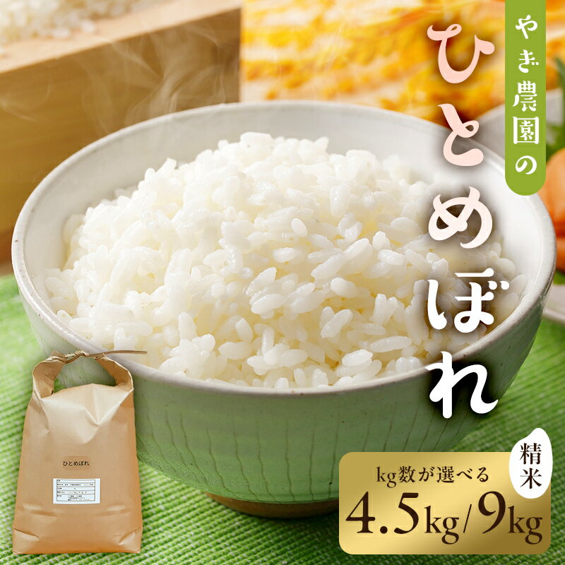 【ふるさと納税】 【配送月・kg数が選べる】ひとめぼれ精米【2024年産】 千葉県 南房総市 米 お米 精米 白米 天日干し ごはん 常温 自然乾燥 国産 おにぎり ブランド米 お取り寄せ グルメ 送料無料