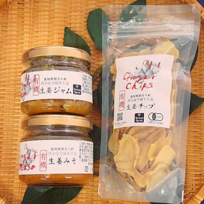 ふるさと納税 四万十町 有機黄金生姜の味わいセット　Ftf-03