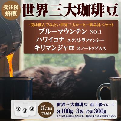 ふるさと納税 藤沢市 世界三大コーヒー飲み比べセット(豆)