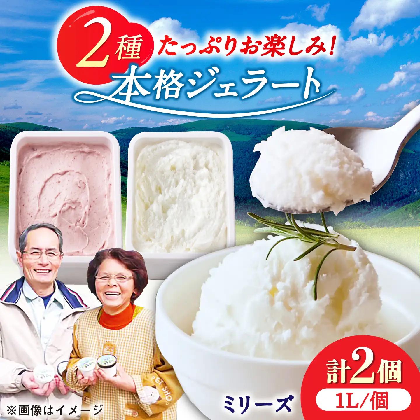 本格ジェラート ファミリーセット 1L×2個 / ジェラート アイス アイスクリーム ギフト 贈答 / 佐賀県 / 松本アイス工房[41AOAA005]