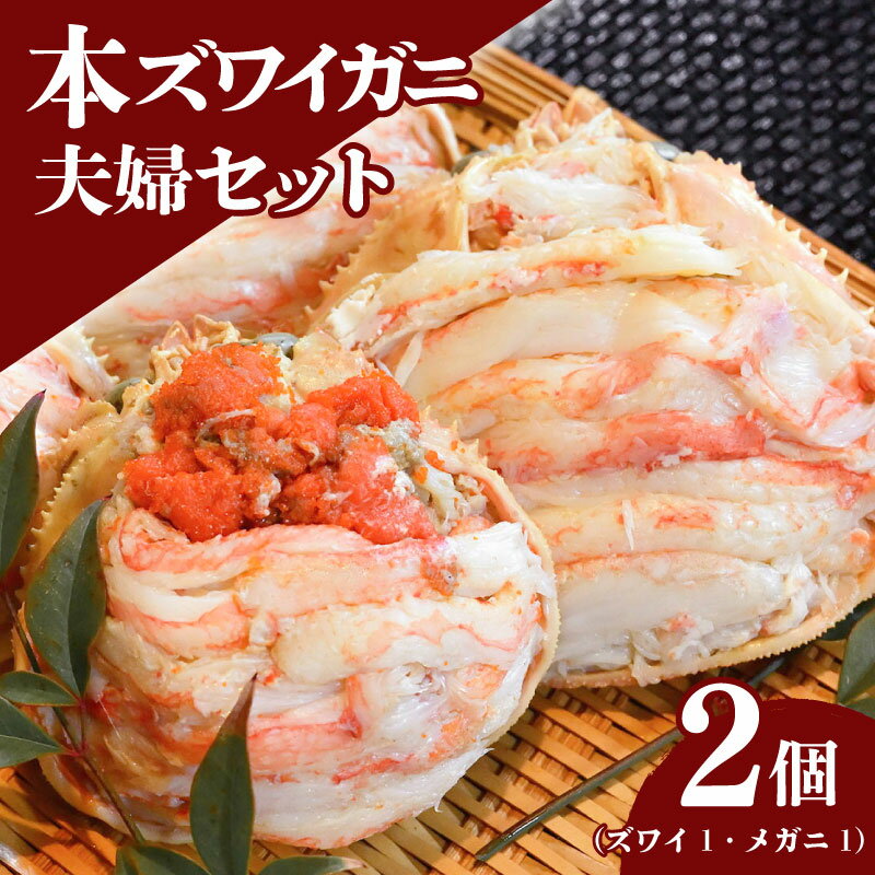 【ふるさと納税】 本ズワイガニ 夫婦セット 2個 （本ズワイ100g メガニ80g 各1個） 新潟県 佐渡産 ズワイ ガニ 蟹 かに カニ 蟹 蟹味噌 簡単調理 新発田市 魚介 今川屋 いまがわや おせち 年末年始 箱入り 贈答 プレゼント お歳暮 imagawaya012