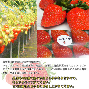 大竹農園直送　朝採れイチゴ「かおり野」 ４パック（箱入り）