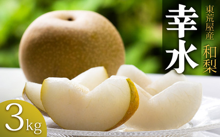 【令和7年産先行予約】　東荒屋産　幸水　(和梨) 　3kg　山形県鶴岡市 鶴岡中央青果