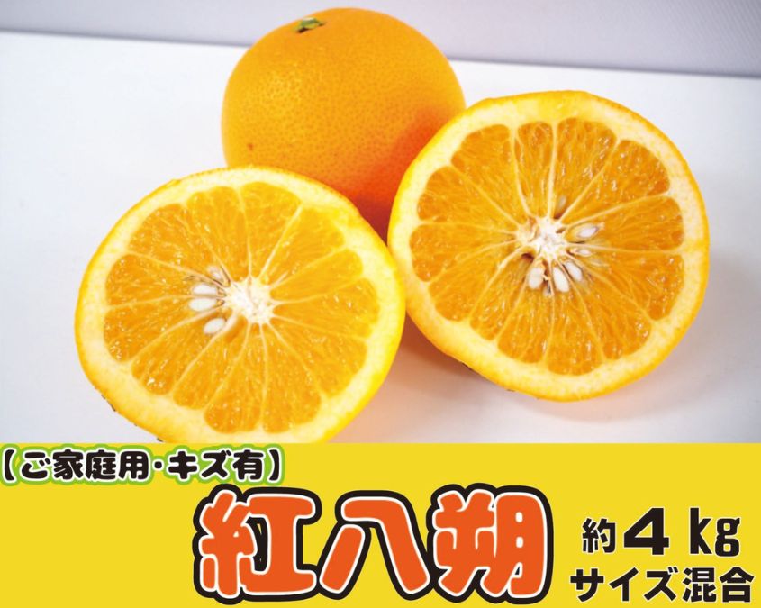 【ふるさと納税】【家庭用】甘酸っぱさ、はじける。かつらぎの紅八朔約4kg【2027年2月中旬～2027年2月下旬お届け予定】/はっさく 柑橘 フルーツ 果物 美味しい おいしい 和歌山県 送料無料【A-frks189】