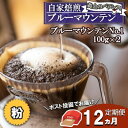 【ふるさと納税】定期便 12ヶ月 自家焙煎 “コーヒーの王様” ブルーマウンテン ストレート (粉) 100g×2 ポスト投函 珈琲 コーヒー 12回 お楽しみ　定期便・小郡市