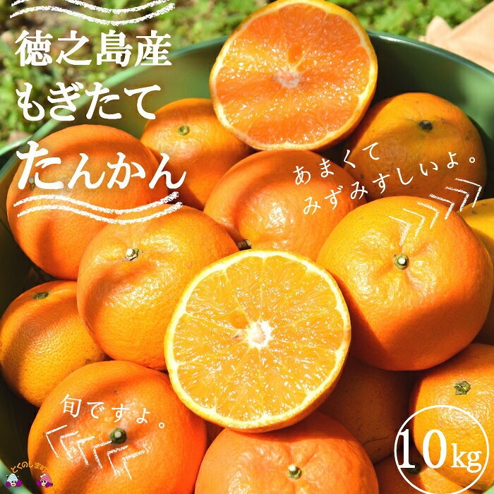 【ふるさと納税】 《2026年2月～3月お届け！》島の農家さん直送便！徳之島産もぎたてたんかん（10キロ） ( タンカン フルーツ みかん 果物 柑橘 甘い 徳之島 奄美 鹿児島 もぎたて フレッシュ 世界自然遺産 フルーツアイランド 先行予約 )