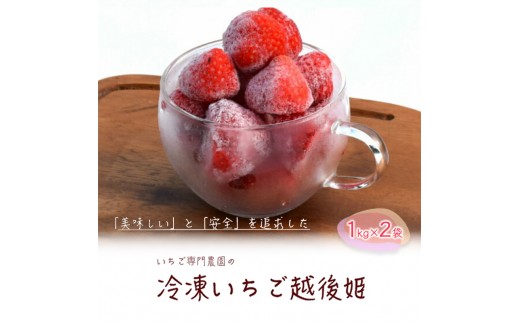 
            冷凍いちご 越後姫1kg×2袋 冷凍 イチゴ 苺 果物 フルーツ 新潟
          