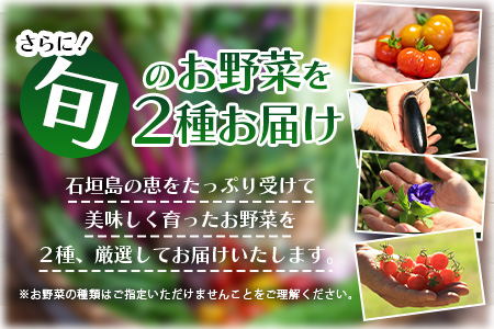 《予約受付》沖縄の健康長寿の秘訣「琉球百薬（おかわかめ）」10袋と旬のおまけ野菜詰め合わせ！農薬を使わない栽培方法を続けるミネイさんの野菜 2025年2月上旬以降～順次発送 OI-24