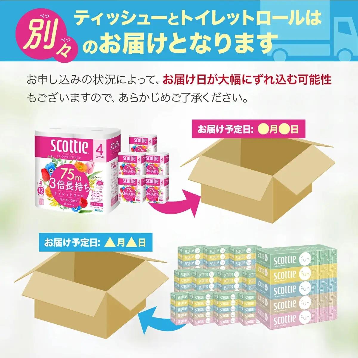 トイレットペーパー ティッシュペーパー 日用品セット 草加市
