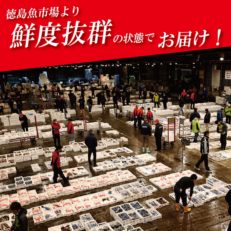 鳴門鯛 1kg 《 柵 1尾分 》 鯛 1尾 刺身 タイ 天然 鳴門 鯛 下処理 対応 塩焼き 鯛めし 祝い鯛 おせち 正月 しゃぶしゃぶ 鯛しゃぶ 鍋 年末年始 徳島 魚 市場