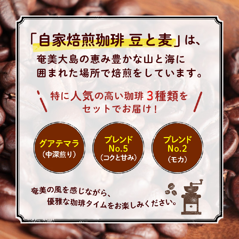 【自家焙煎】豆と麦の人気コーヒー200g×3種類セット(豆) - 自家焙煎コーヒー 詰め合わせ 3種 各200g セット 豆 グアテマラ コロンビア エチオピア ブラジル モカ 奄美大島 オリジナルブ
