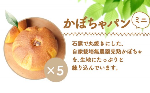 【ニセコ町】奥土農場のかぼちゃパン（ﾐﾆﾊﾟﾝ) 5個セット