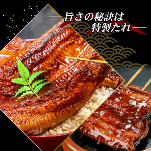 うなぎ蒲焼き 1尾 定期便 12回 うなぎ BE015