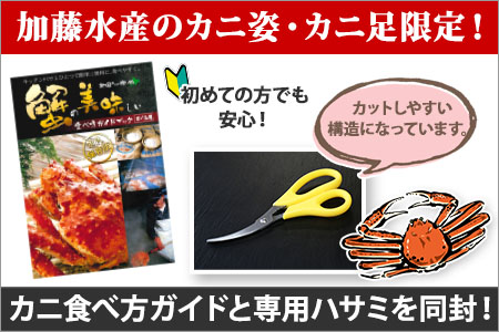 1543. 訳あり ボイル ズワイガニ足 800g 期間限定 約2-3人前 食べ方ガイド・専用ハサミ付 数量限定 カニ かに 蟹 海鮮 送料無料 期間限定 数量限定 北海道 弟子屈町