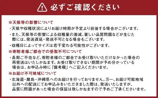 熊本県産 スイートコーン ミルキースイーツ 約5kg とうもろこし やさい 野菜 トウモロコシ【2027年6月上旬から7月上旬発送予定】