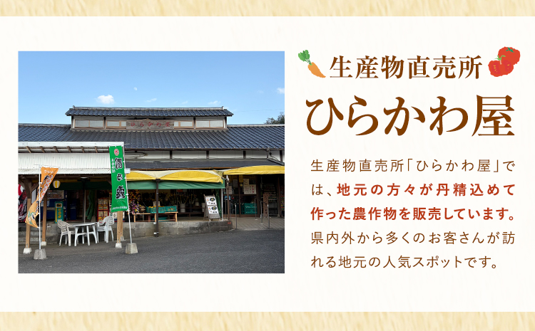 ひらかわ清流米 5kg×1袋 生産物直売所ひらかわ屋 お米 白米 鹿児島県 鹿児島県産 さつま町 精米 ごはん
