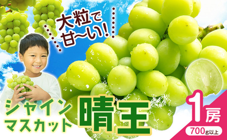 【2026年発送】シャインマスカット【晴王】 1房  (700g以上) 株式会社Myself シャインマスカット