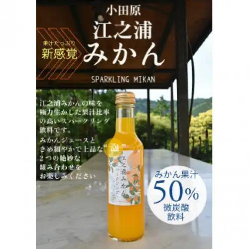 【定期便（2カ月ごと全3回）】小田原産江之浦みかんスパークリング果汁入り飲料果汁５０％２００ml３０本｜飲料 炭酸 果汁 ドリンク 人気 おすすめ フルーツ ソーダ 清涼飲料 セット 定期便 送料無料