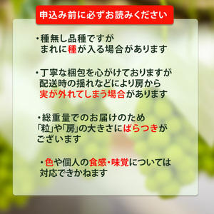 【2026年8月下旬頃より順次発送】シャインマスカット 約2kg ますかっと【EN0083】