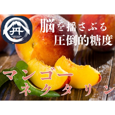 
            ＜一度食べたら忘れられない＞溢れる果汁マンゴーネクタリン2025年8月中旬発送【1468762】
          