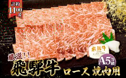 店主こだわり雌牛 飛騨牛A5等級　ロース　焼き肉用　約1.1kg [No.085] ／ 牛肉 ブランド牛 やきにく 焼肉 メス牛 冷凍 岐阜県 特産