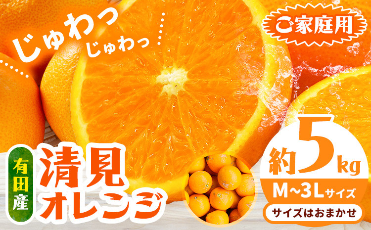 
                  【ご家庭用】 有田産 清見 オレンジ約 5kg（M～3Lサイズおまかせ） 日高川町厳選館《2027年2月中旬-3月末頃より出荷予定》和歌山県 日高川町 柑橘 果物 フルーツ 清見オレンジ
                