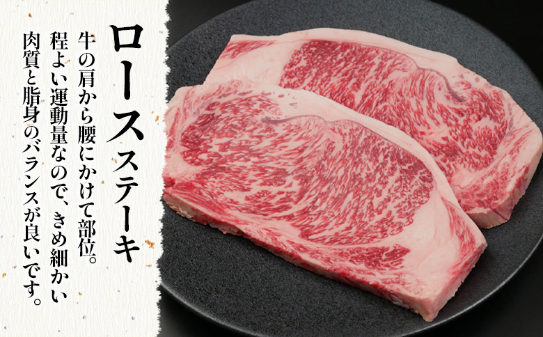 飛騨牛 ロースステーキ 2枚 360g ステーキソース付き A5 A4 国産 牛 冷凍 和牛 牛肉 かた ロース 肩ロース 豪華 ギフト 贈答 にく お肉 肉 東白川村 岐阜 飛騨 贅沢 霜降り 赤身