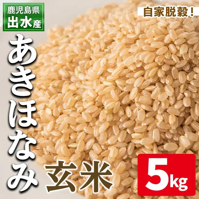 玄米 あきほなみ 5kg 米【田上商店】i862-B