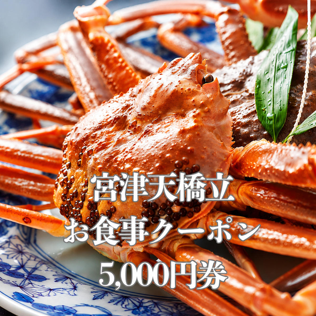 宮津天橋立お食事クーポン　5,000円分