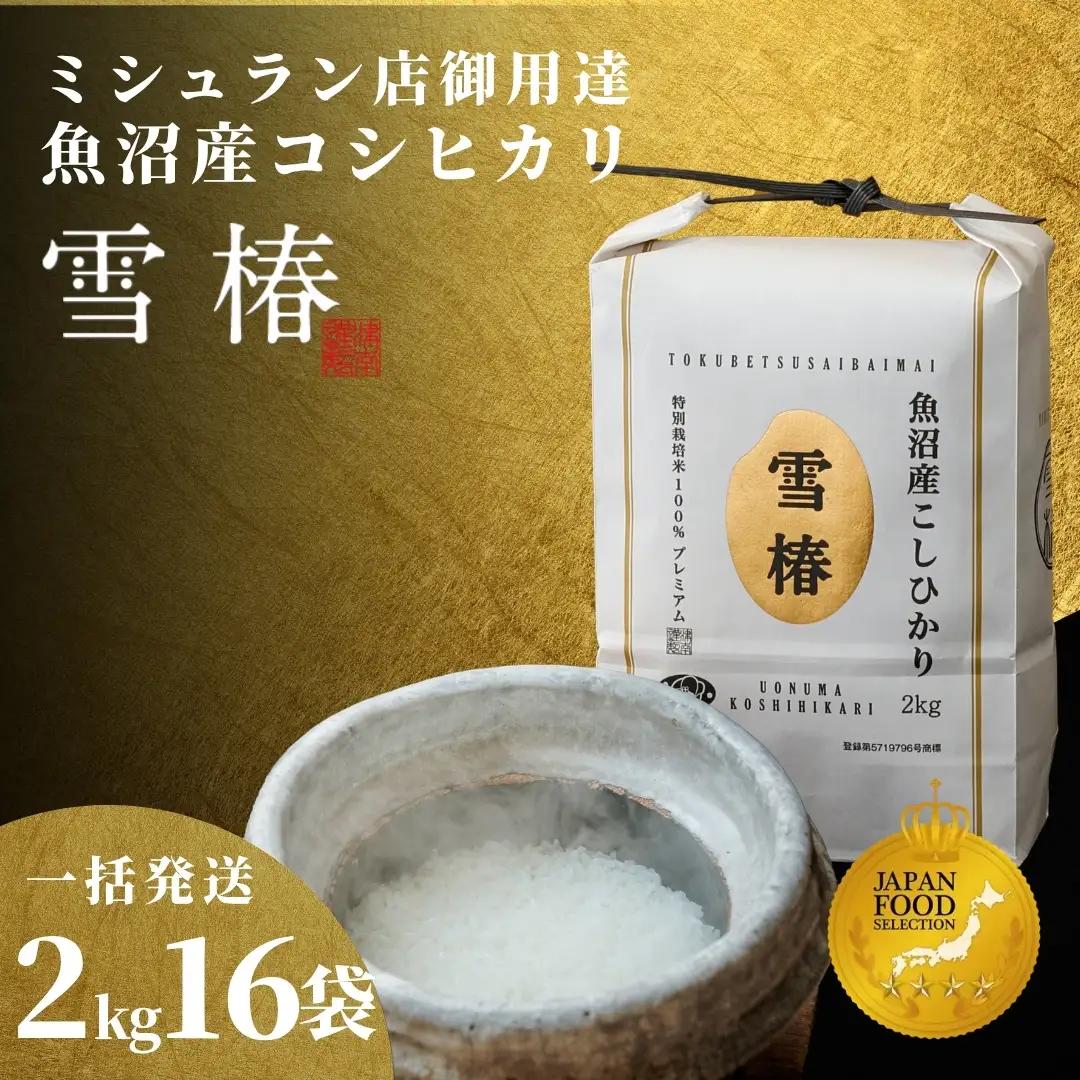 【寄付額見直し】魚沼産コシヒカリ 雪椿 32kg (2キロ×16袋) 特別栽培 一括発送  | 魚沼 津南町 令和7年産