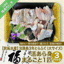 【ふるさと納税】【冷蔵】淡路島3年とらふぐ（大サイズ）活あら身まるごと1匹【3Pセット】◆配送10月8日～3月31日