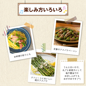 【とにかく甘い！】 グリーンアスパラガス LLサイズ 1kg アスパラ 甘い 太い 柔らかい 新潟 新発田 朝採り 新鮮 野菜 アスパラガス グリーンタワー 春野菜 特産品 旬 肉 巻き 朝採れ 産地
