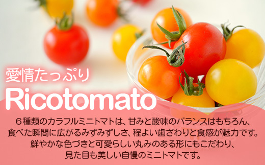 【4回定期便】【先行受付】2027年1月より順次発送 カラフルミニトマト6種1kg 農家直送 人気 佐賀県鹿島市 たにぐちファーム Ricotomato～とりこになるトマト～ F-25