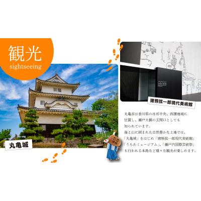 ふるさと納税 丸亀市 【発送月固定定期便】【12回定期便】讃州丸亀 旬の果実便り 絶品フルーツの定期便全12回 |  | 01