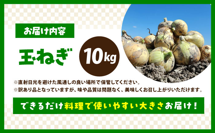 【今が旬!】 訳あり 新玉ねぎ 10kg（小玉）【えぐちファーム】 不揃い たまねぎ [HDE002]