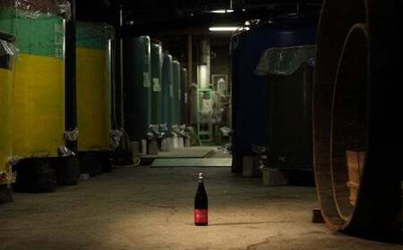 ちえびじん純米酒 720ml 2本セット [Kura Master 2018 プレジデント賞受賞]【中野酒造】 ＜110-001_5＞