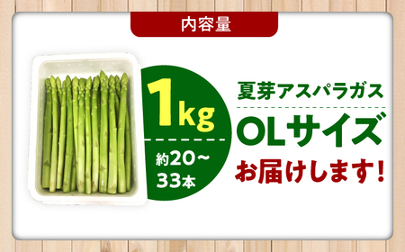 【夏芽】アスパラガス 計1kg（〇Lサイズ） / アスパラ アスパラガス 野菜 新鮮 / 佐賀県 / さが風土館季楽 [41AABE104]