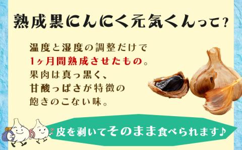 青森県産熟成黒にんにく元気くん Lサイズ （12個入）【02402-0264】